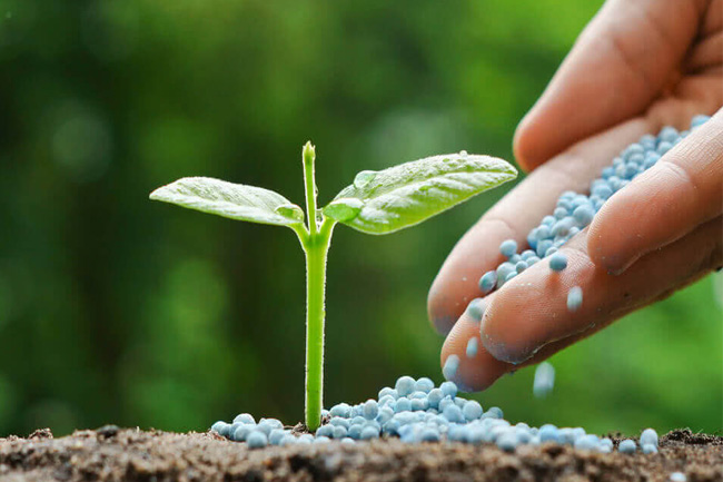 اوره سبز؛ گام بعدی پتروشیمی هنگام