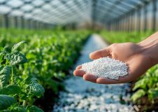 تحلیل روندهای جهانی و اثر آن بر صادرات اوره ایران